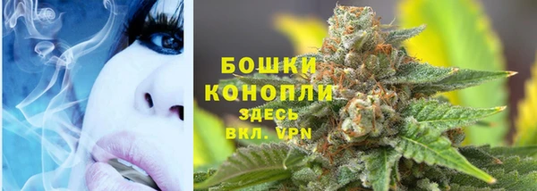мдпв Вяземский
